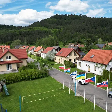 Vlasky