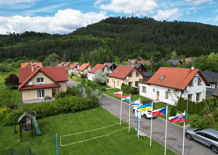 Vlasky